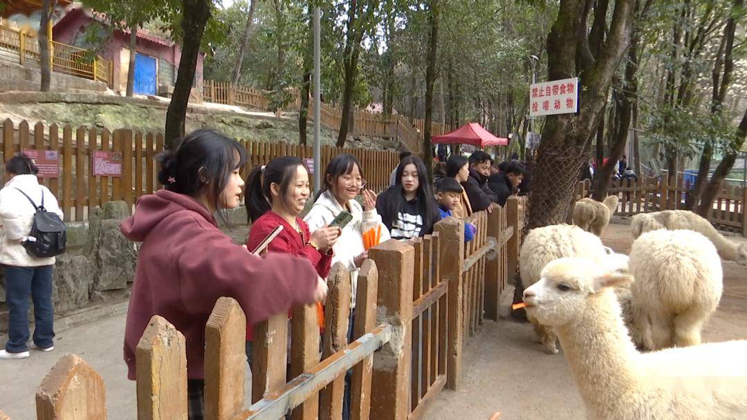 网络中国节·春节 | 六盘水动物园里笑声欢 每日客流量达八千余人