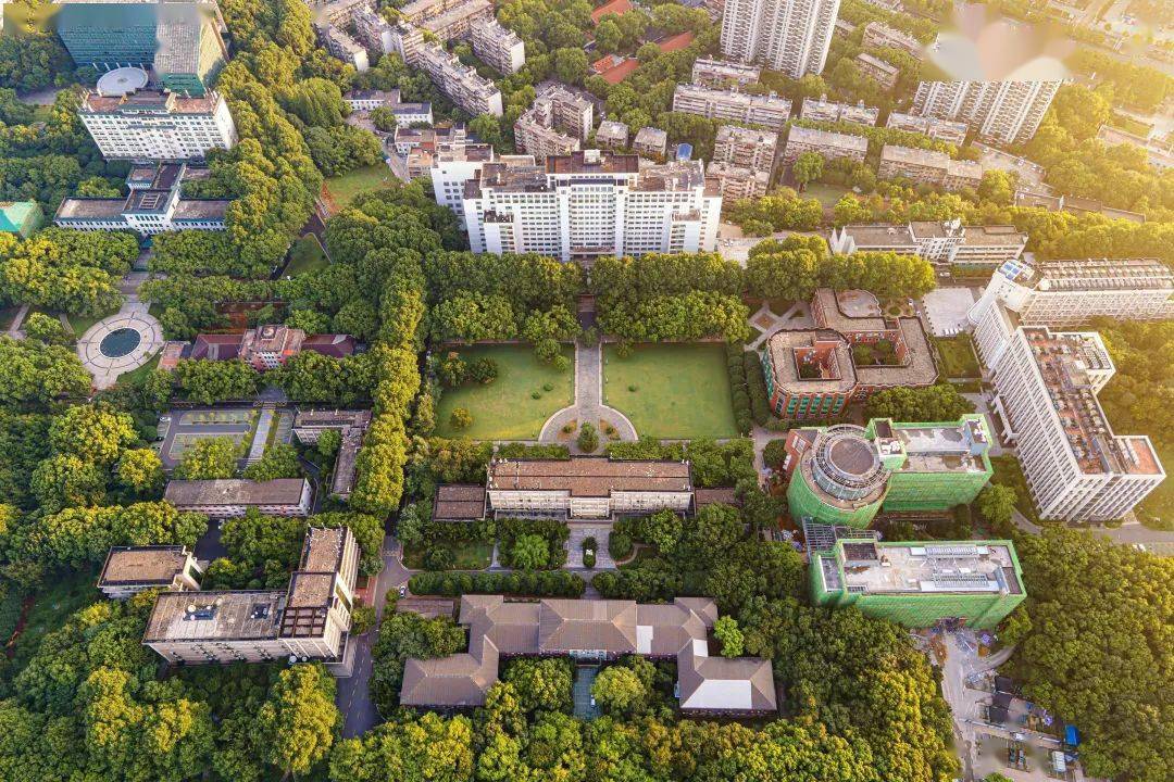 桂子山_工作_一线