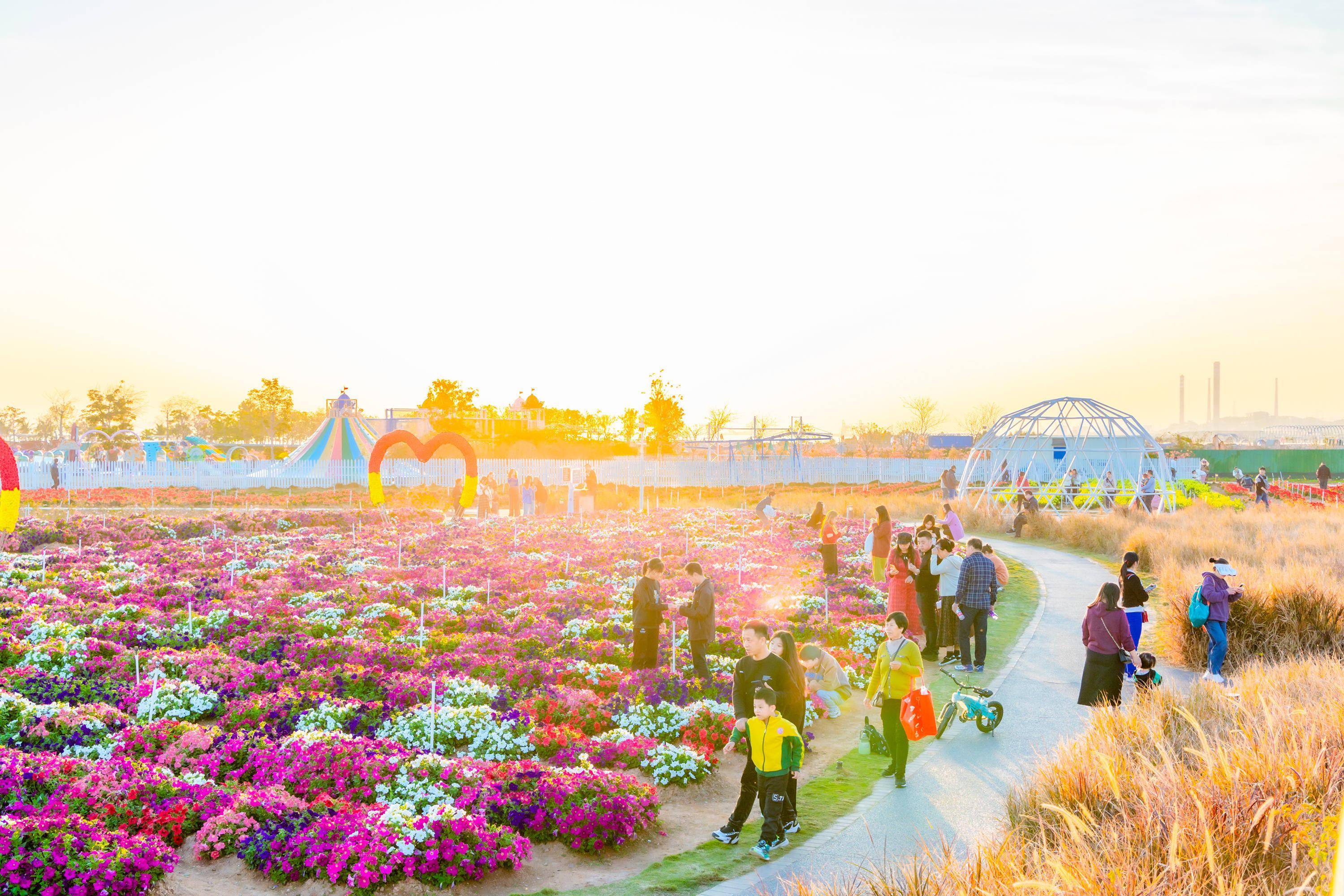 滨海湾花海里门票图片