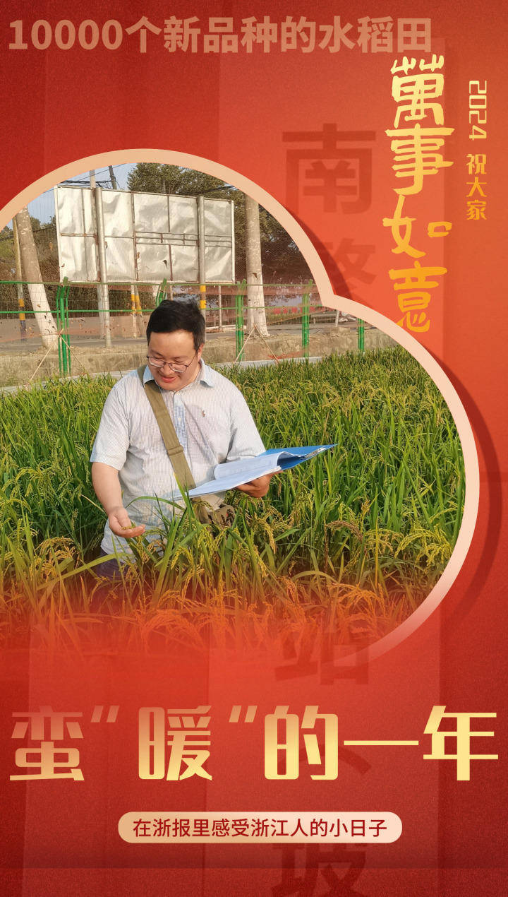 1万个新品种的水稻田,在浙报里看浙江人的小日子_曹立勇_中心_故事