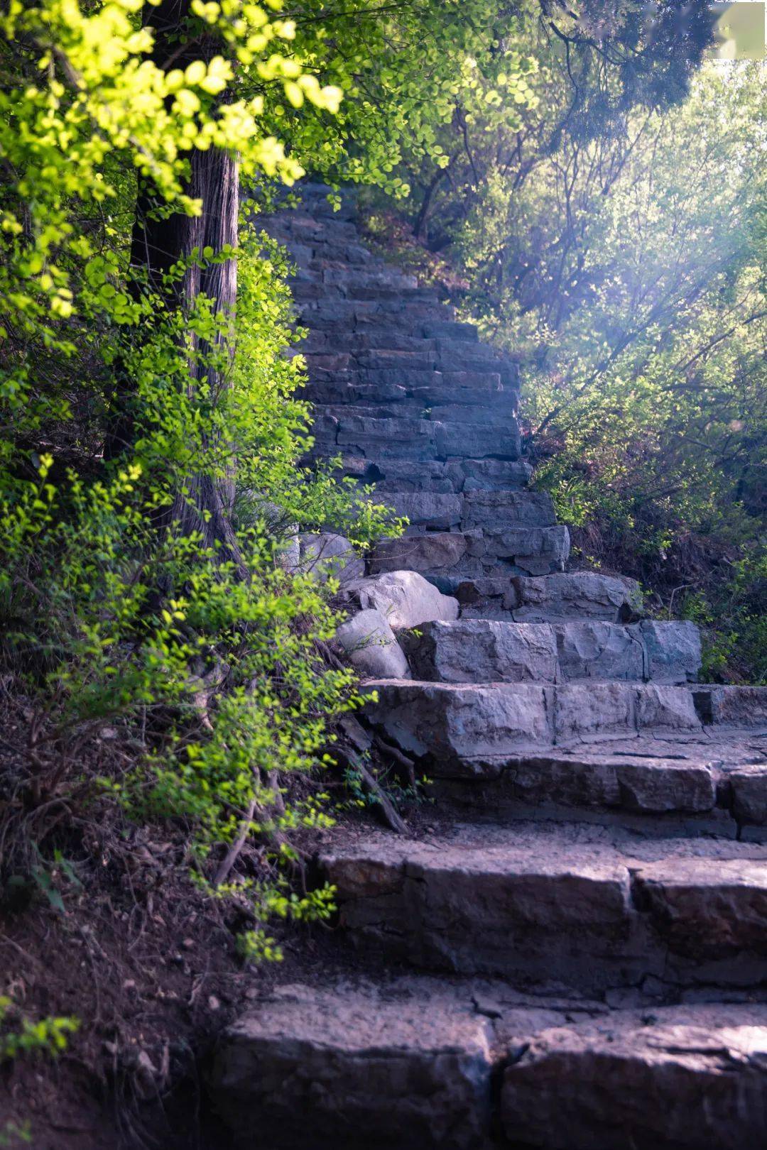 摄影_济南_华山