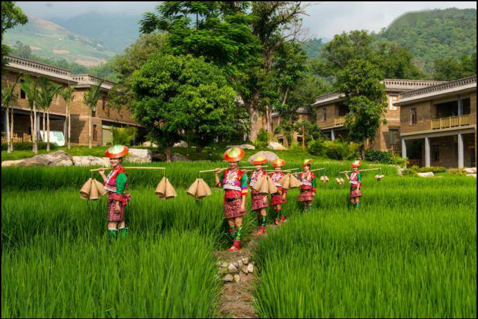 14跟着大v寻乡情:"玉溪村节"浪漫来袭!_活动_元江县_蒙面