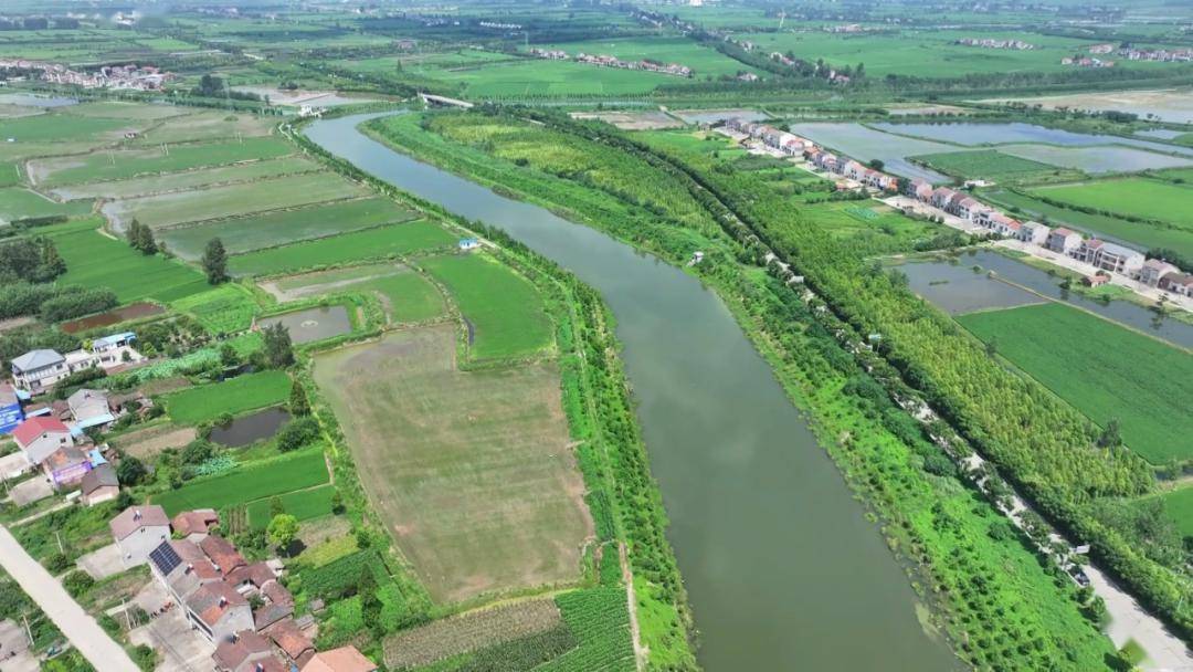 白马寺镇:强基础 兴产业 建设创想农业大镇_乡村_江陵_生态