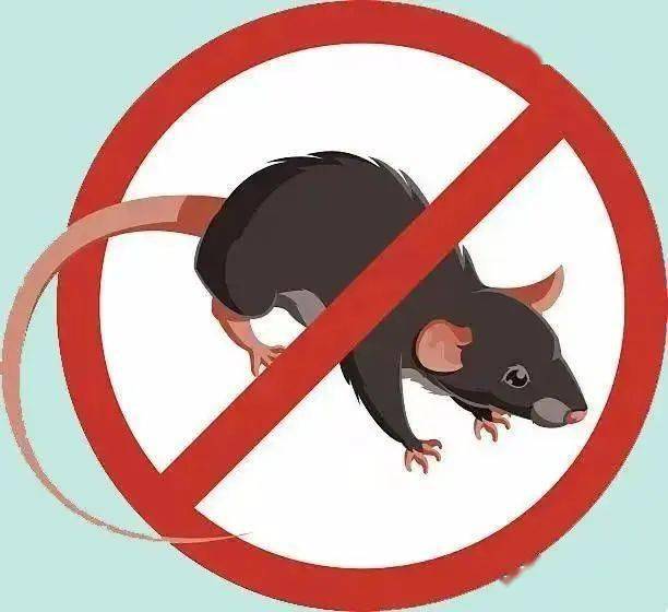 简单了解流行性出血热_老鼠_接种_传播