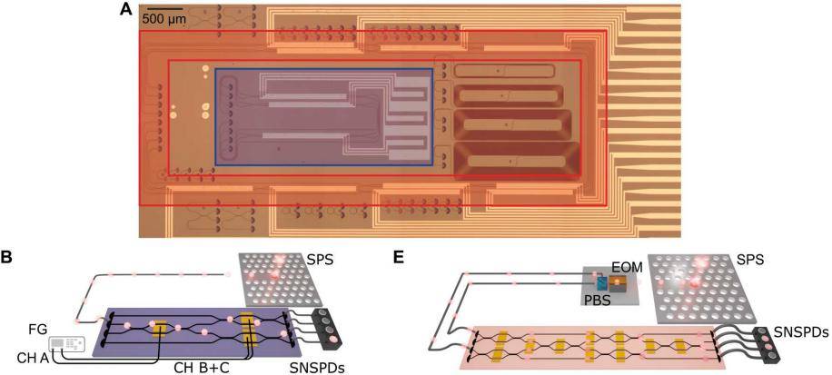 圖丨多模高速集成電路中的光子處理(來源:science advances)蝕刻後