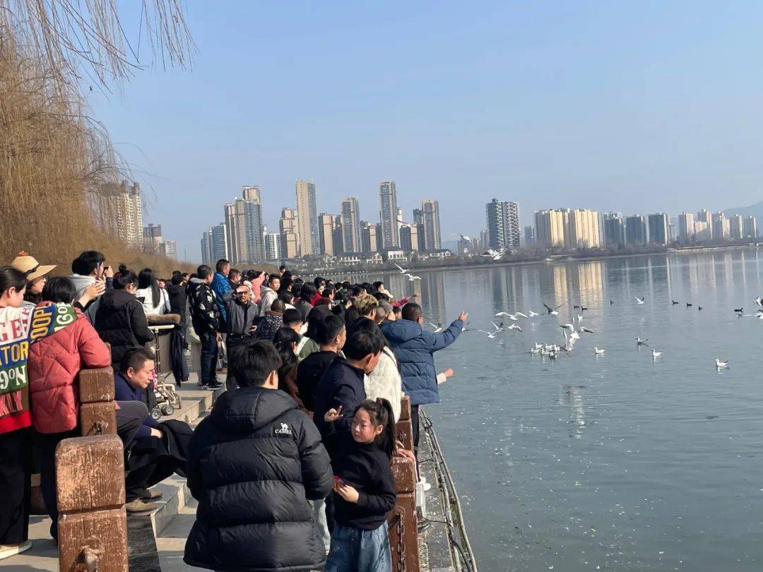 汉中市春节各大景区上演"热辣滚烫"!_游客_文化_活动