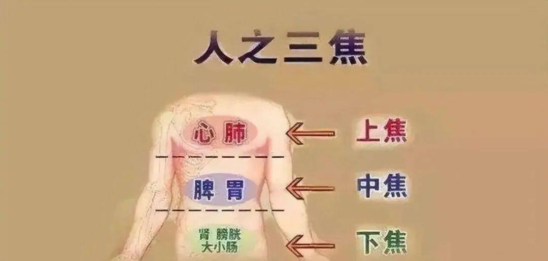 脾胃转不动,中焦就不通,气机也不畅,一个方子,健脾行气,打通中焦_情况