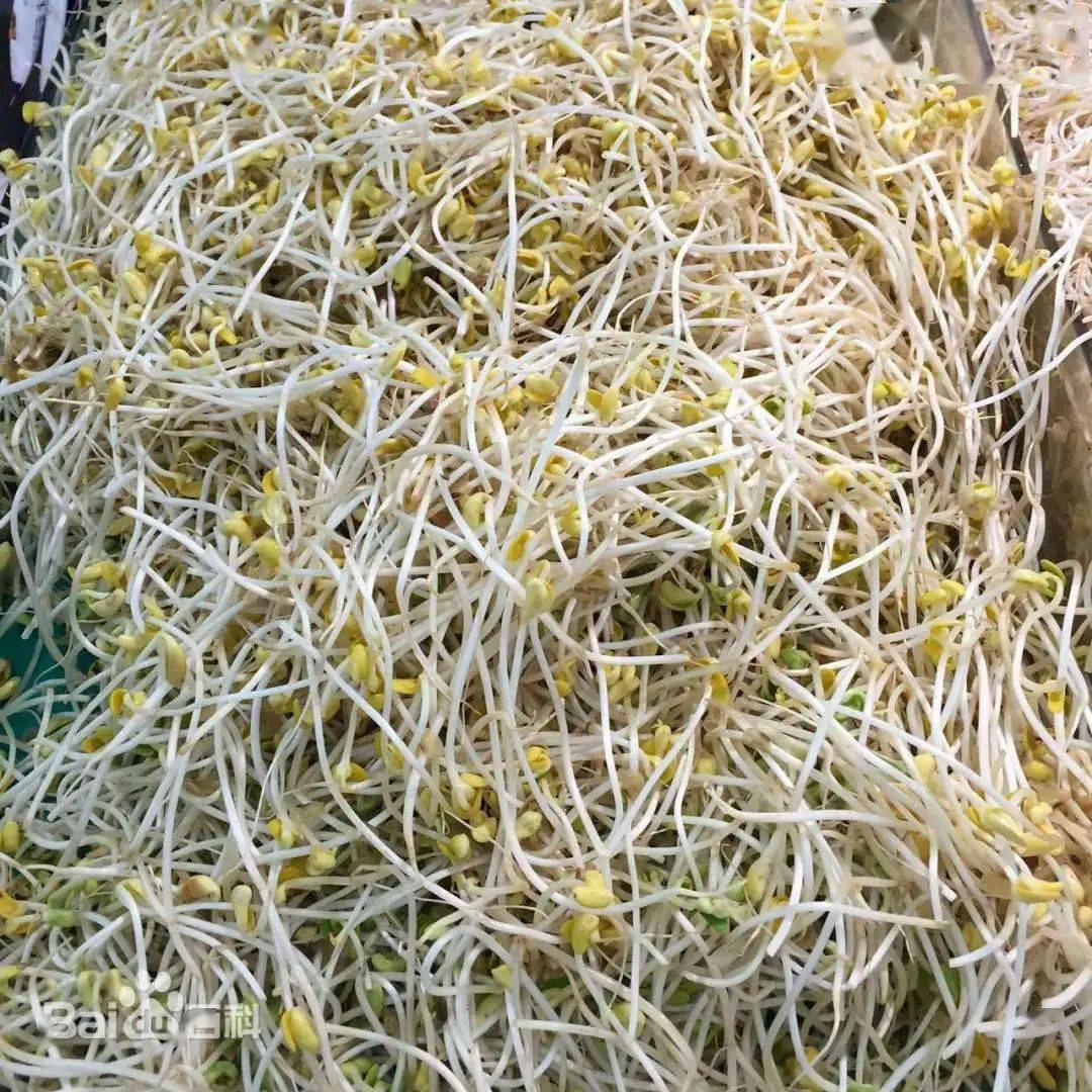 5万元,只因种菜时,放了这个东西._生产_豆芽_销售