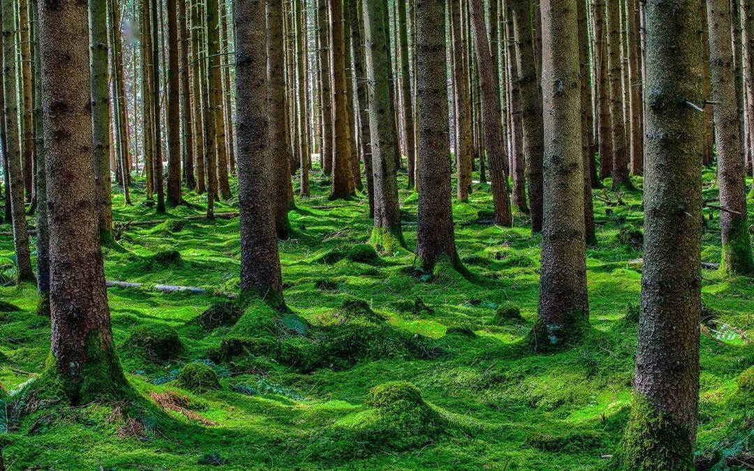 【地理拓展】"反向春运"背后蕴藏哪些地理考点?