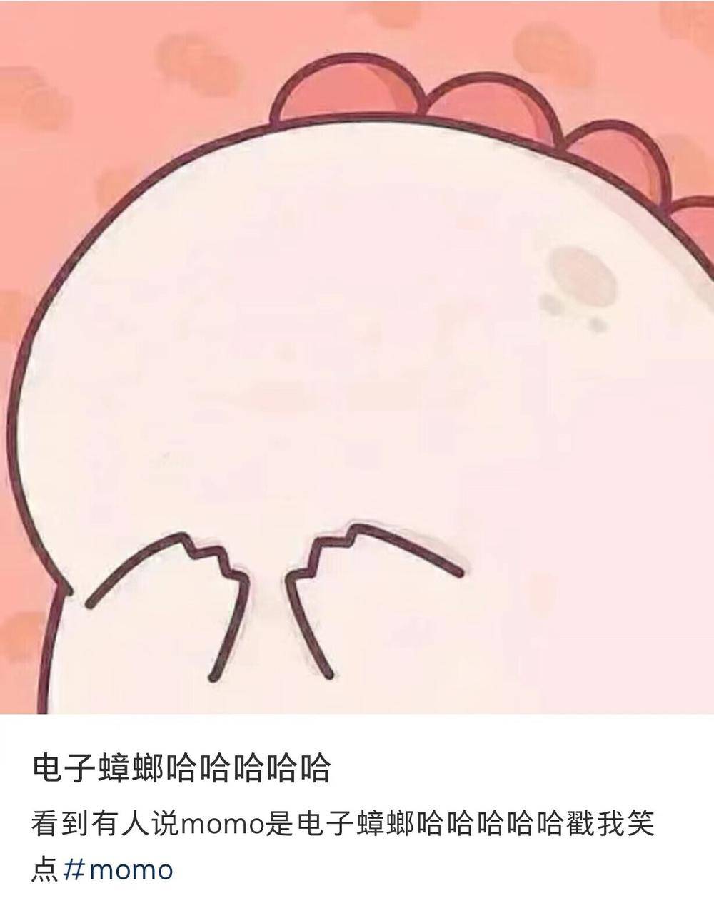 那个叫momo的人,怎么这么能说?