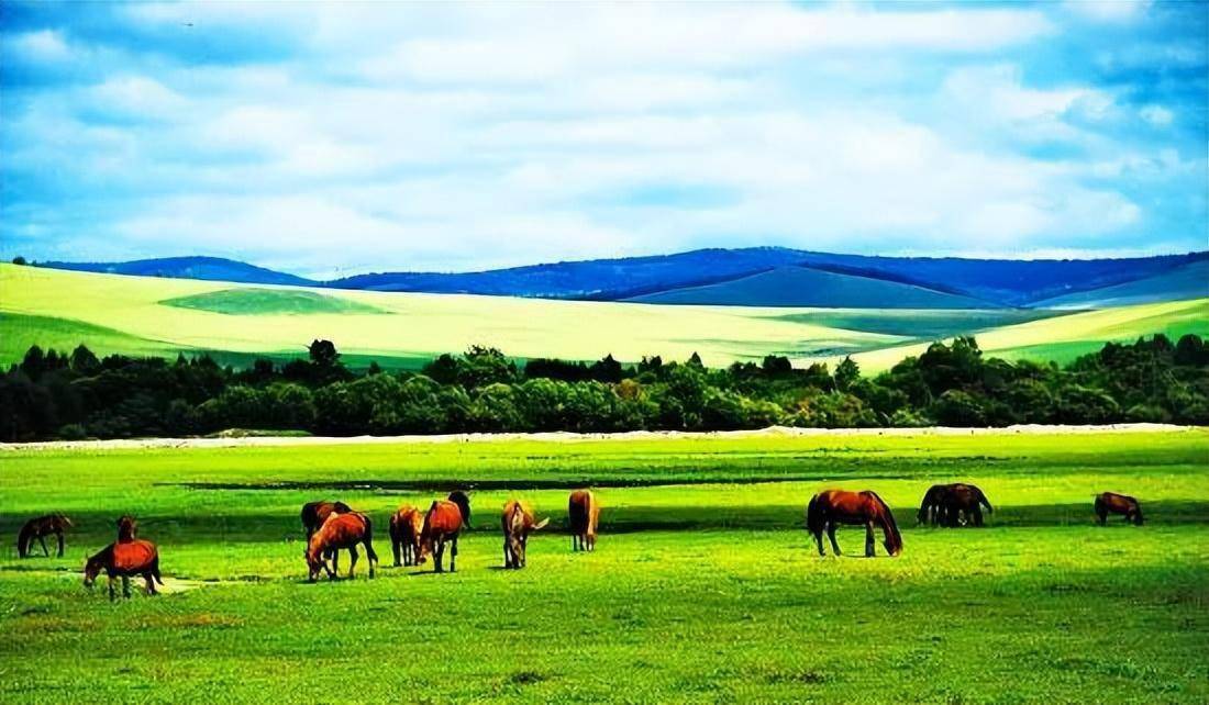 这17个内蒙古旅游胜地不容错过!_草原_阿尔山_避暑