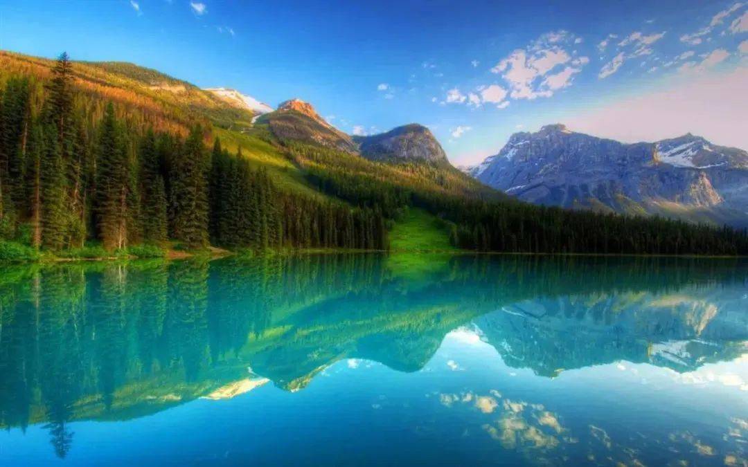 佳节"字"悟 | 品:为人有品德 做事有品质 生活有品位