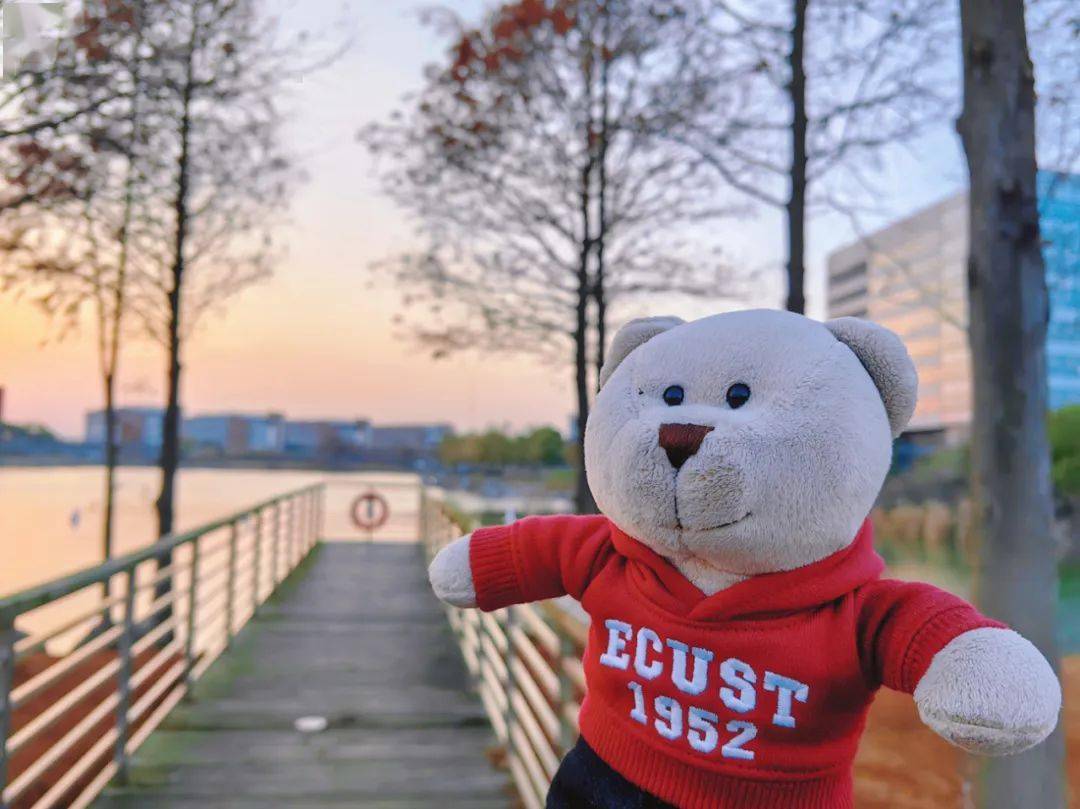 校园_未来的_华讯