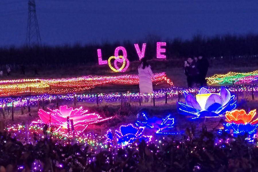 赏花灯,看非遗,尝美食……茌平新春文旅活动打造鲁西