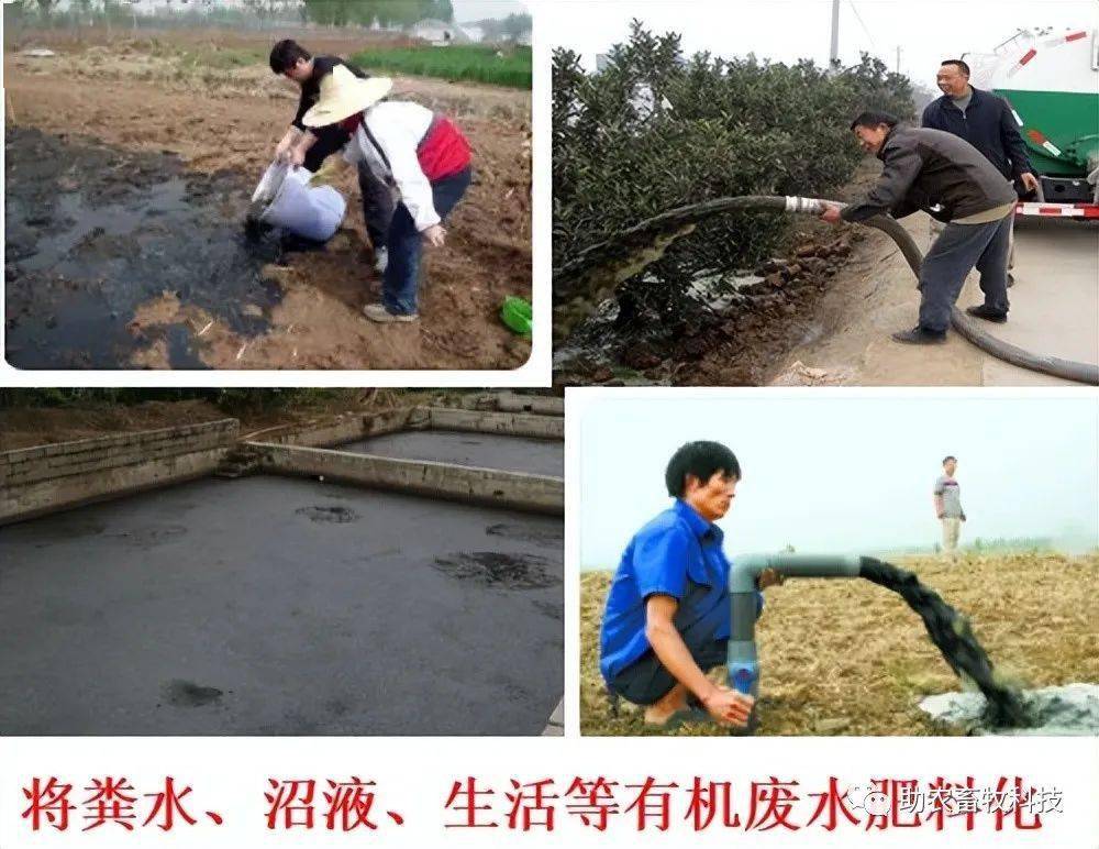 规模猪场清栏后,如何快速处理残留粪污?