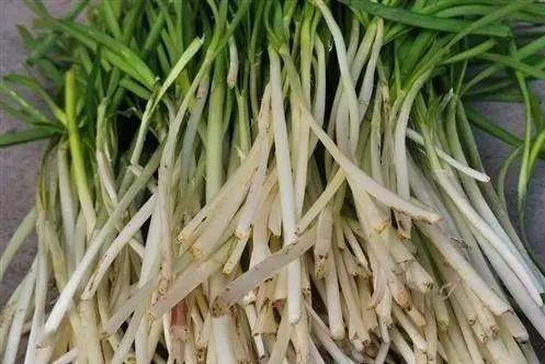 韭菜_食用_养生