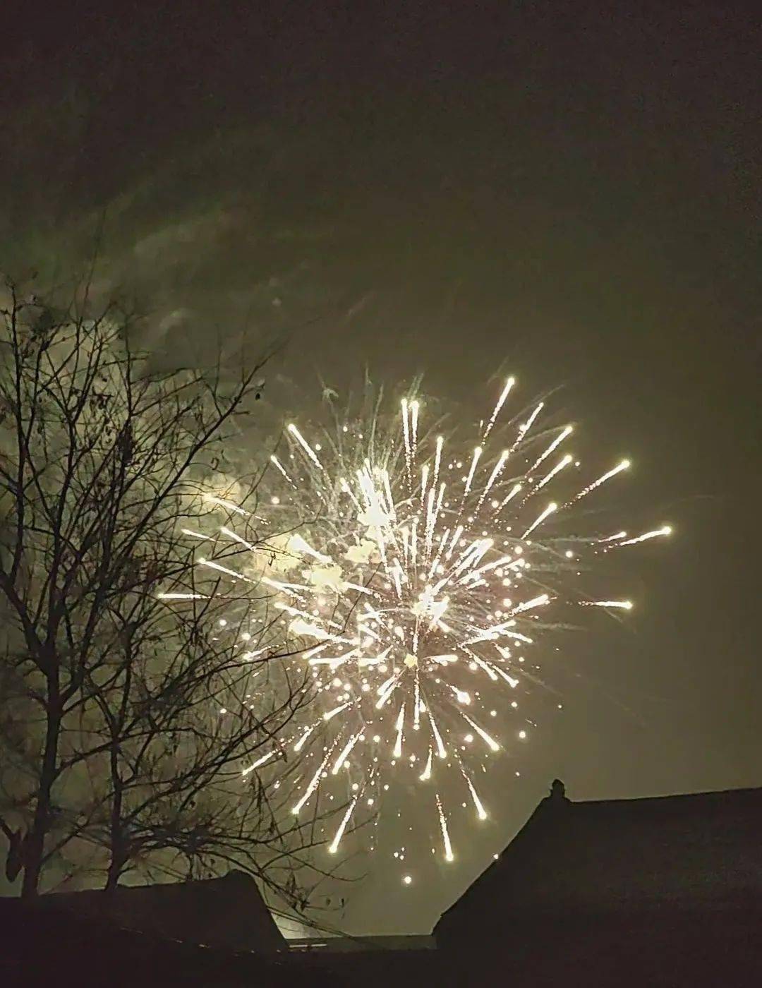 阳光心语|新年这场烟花送给谁_生活_成长_生命