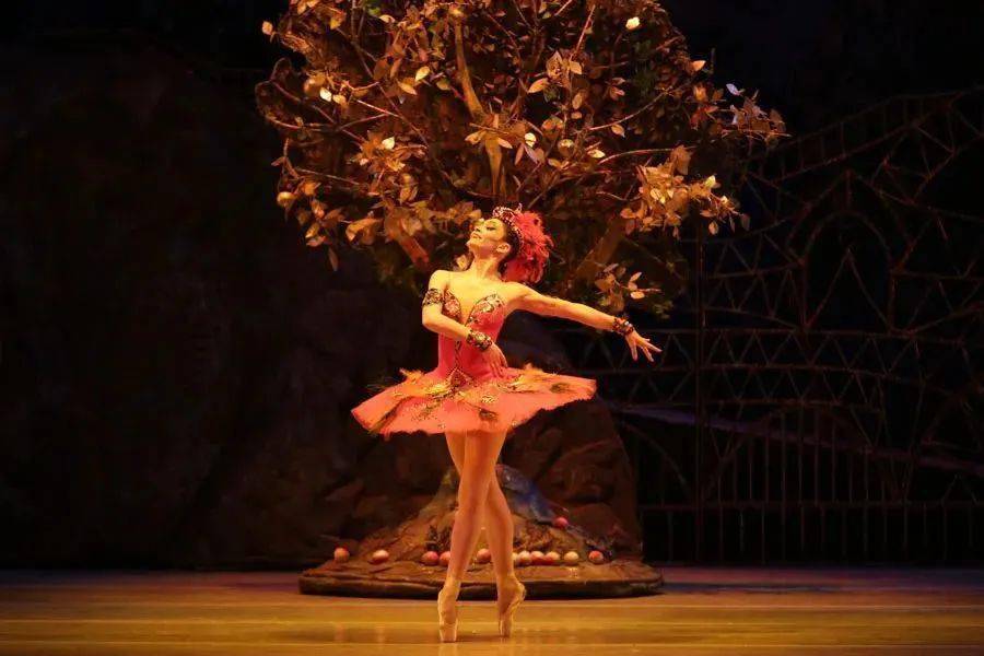 1910年6月25日的巴黎歌剧院是热闹而兴奋的——斯特拉文斯基作曲的