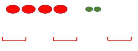 分中悟算理,记中明算法—— 《两位数除以一位数的》