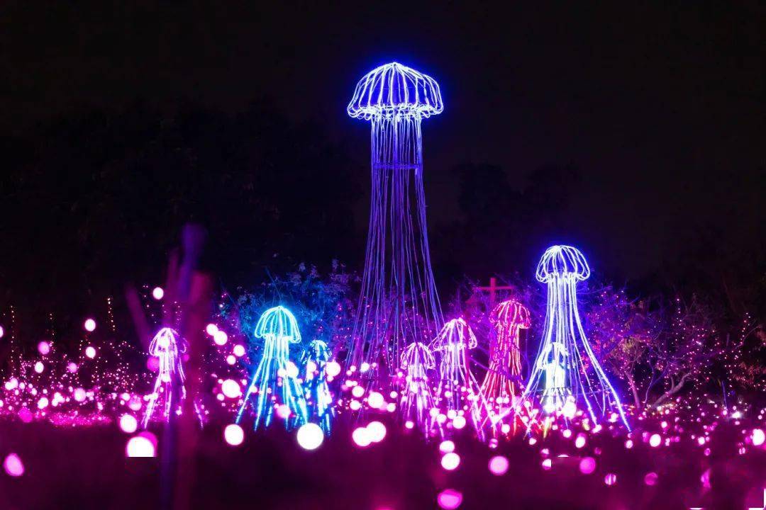 灯光秀门票免费送!新春来丹灶,赏美景吃美食!攻略