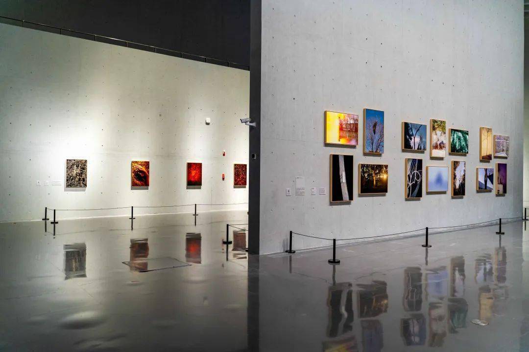 不如来这里,为新春假期画下一个句号_延庆_武汉美术馆