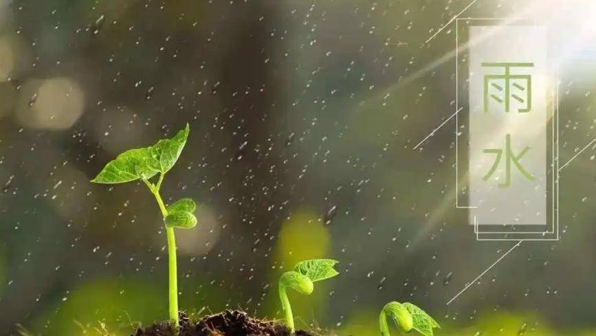 雨润万物,大地回春 | 雨水时节如何养生?_阳气_电话_脾胃