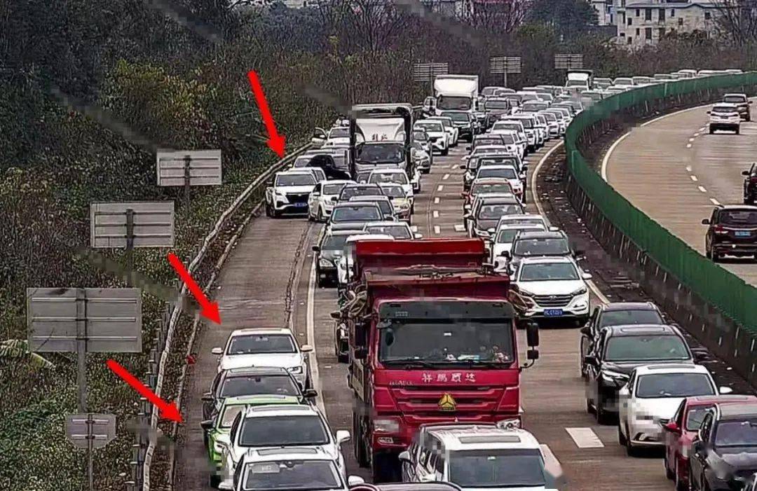 泉南高速上,好多鸡鸭在"兜风"