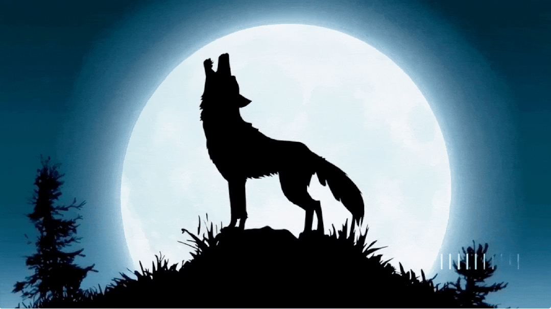 在另外一个视频样片中,一只狼对着月亮嚎叫,镜头也是从大全景自