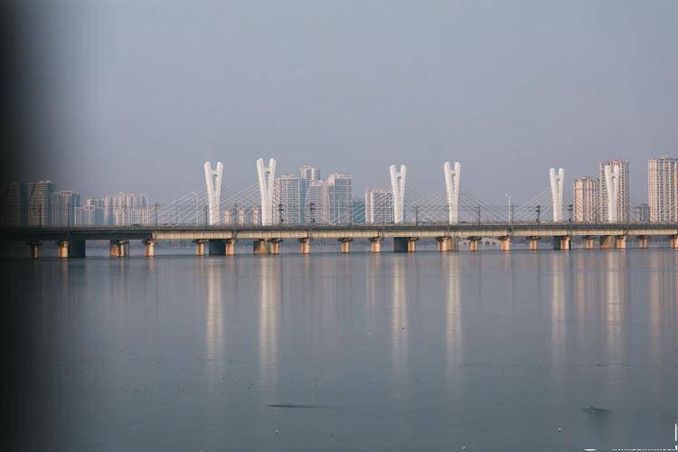 组图| 沂河印象:水清野鸭舞,生态美景引人醉_临沂_成为了_娱乐