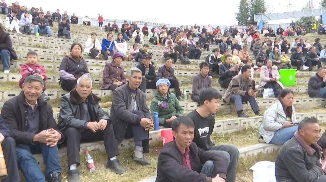 安龙:牛王争霸闹新春_比赛_斗牛_游客