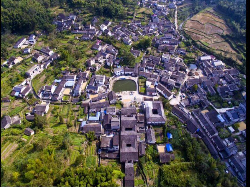 【池州志愿服务】贵池区棠溪镇石门村志愿服务队_村民_为保护_高俊