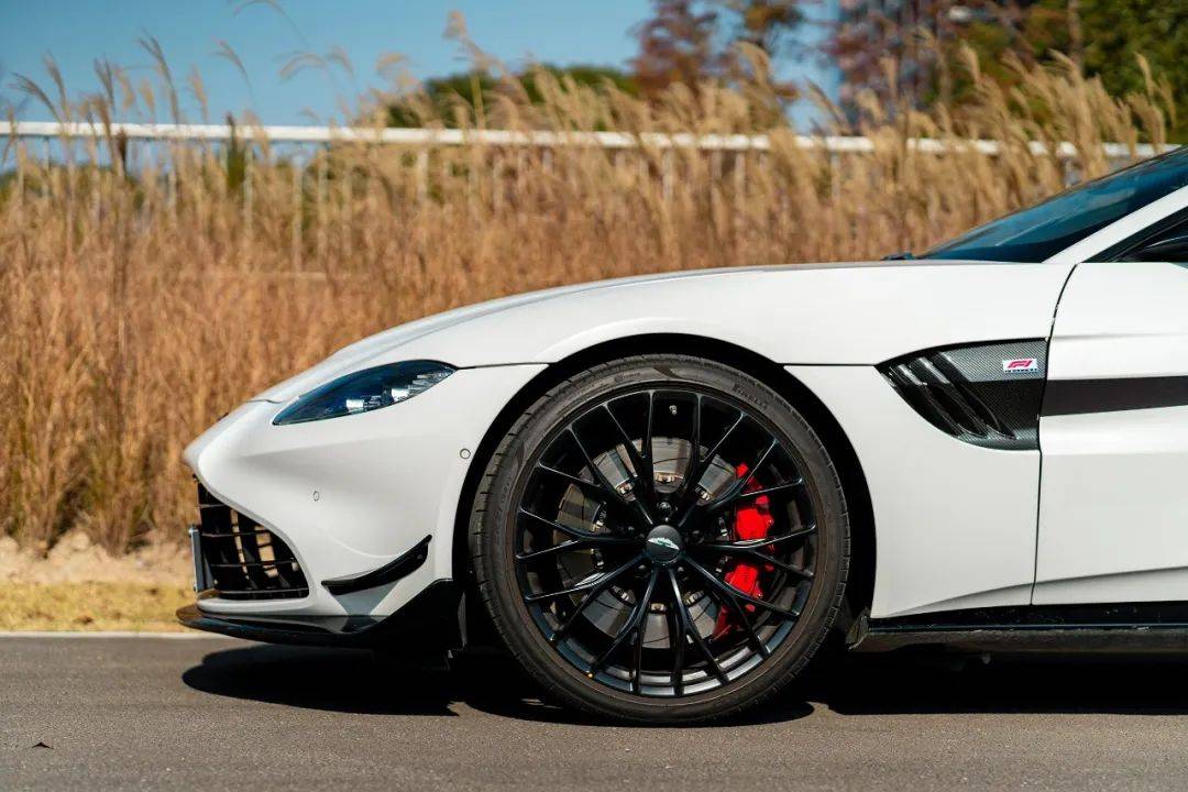 富有眼光且着迷 阿斯顿·马丁 vantage roadster f1 edition