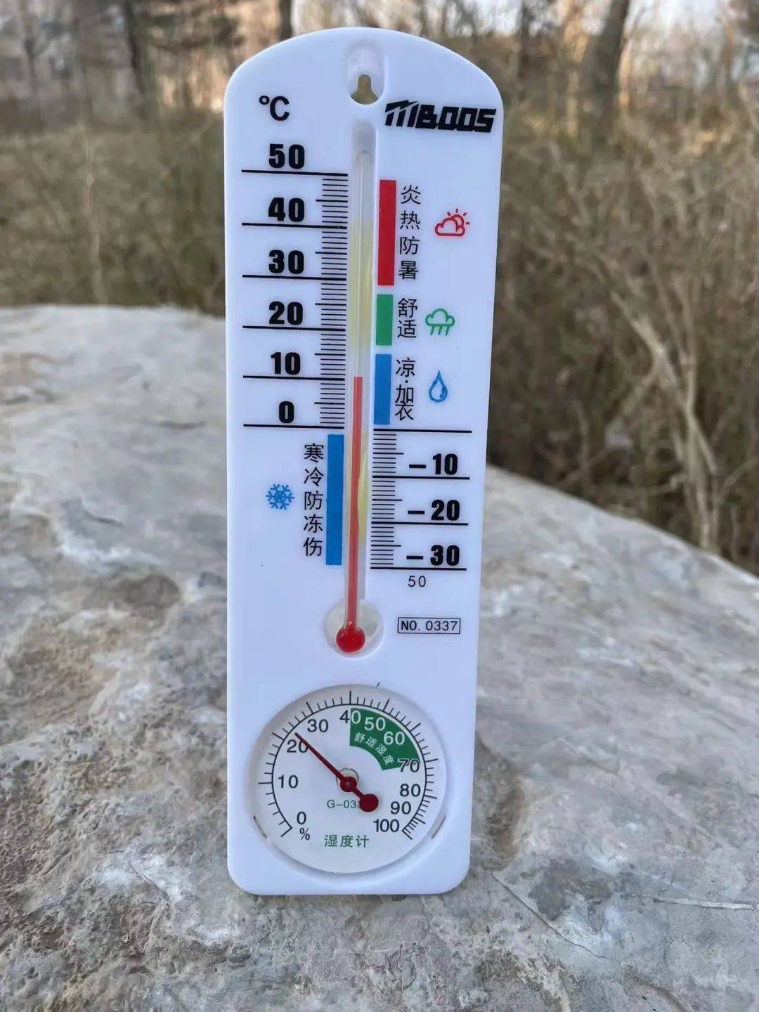 芙蓉小学 | 【班主任工作坊】"二十四节气"传统育人