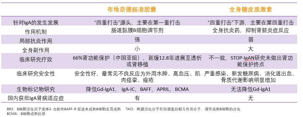 该综述以图文形式生动讨论了gd-iga1和"四重打击"学说(图1).