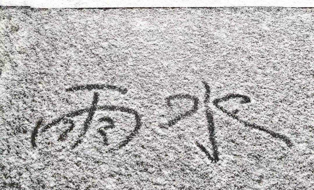 下着下着,雨又变成了雪雪地上,写给"尔滨"的情书还是那么多下雨的第二