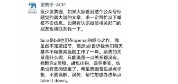 Sora为何未在中国出现?谢赛宁反问“我们准备好了吗?”_OpenAI_Bill_团队