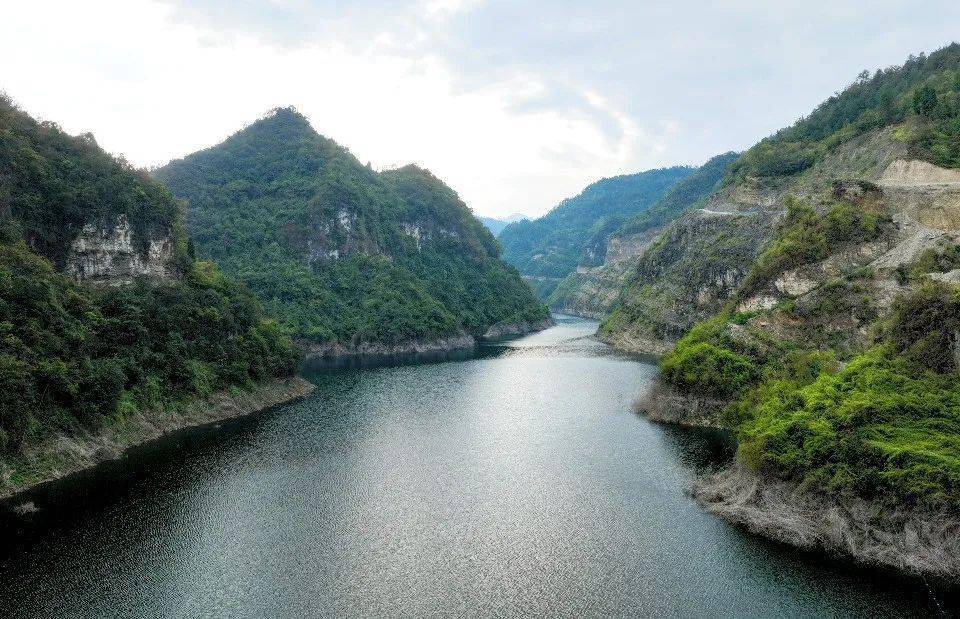 金沙油沙河水库:满目皆绿风光美_沙县_图片_com