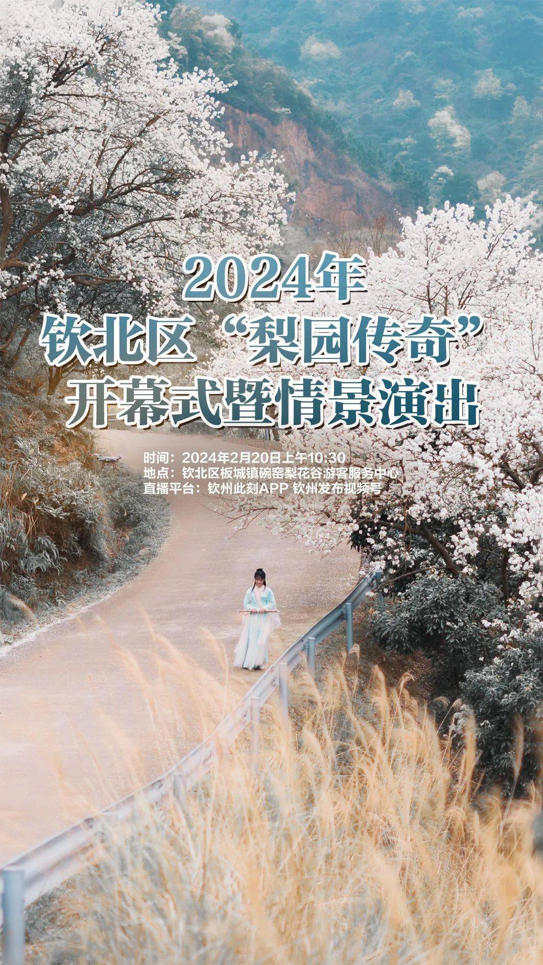 2022年钦州板城梨花谷图片