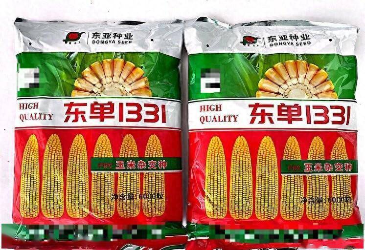 被誉为小钢炮—东单1331玉米种子都说好_审定_华北_种植户
