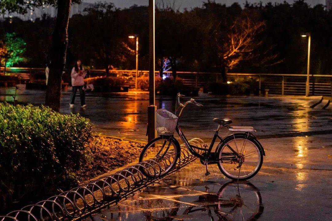 雨水|随风潜入夜,润物细无声_重庆_图片_万物