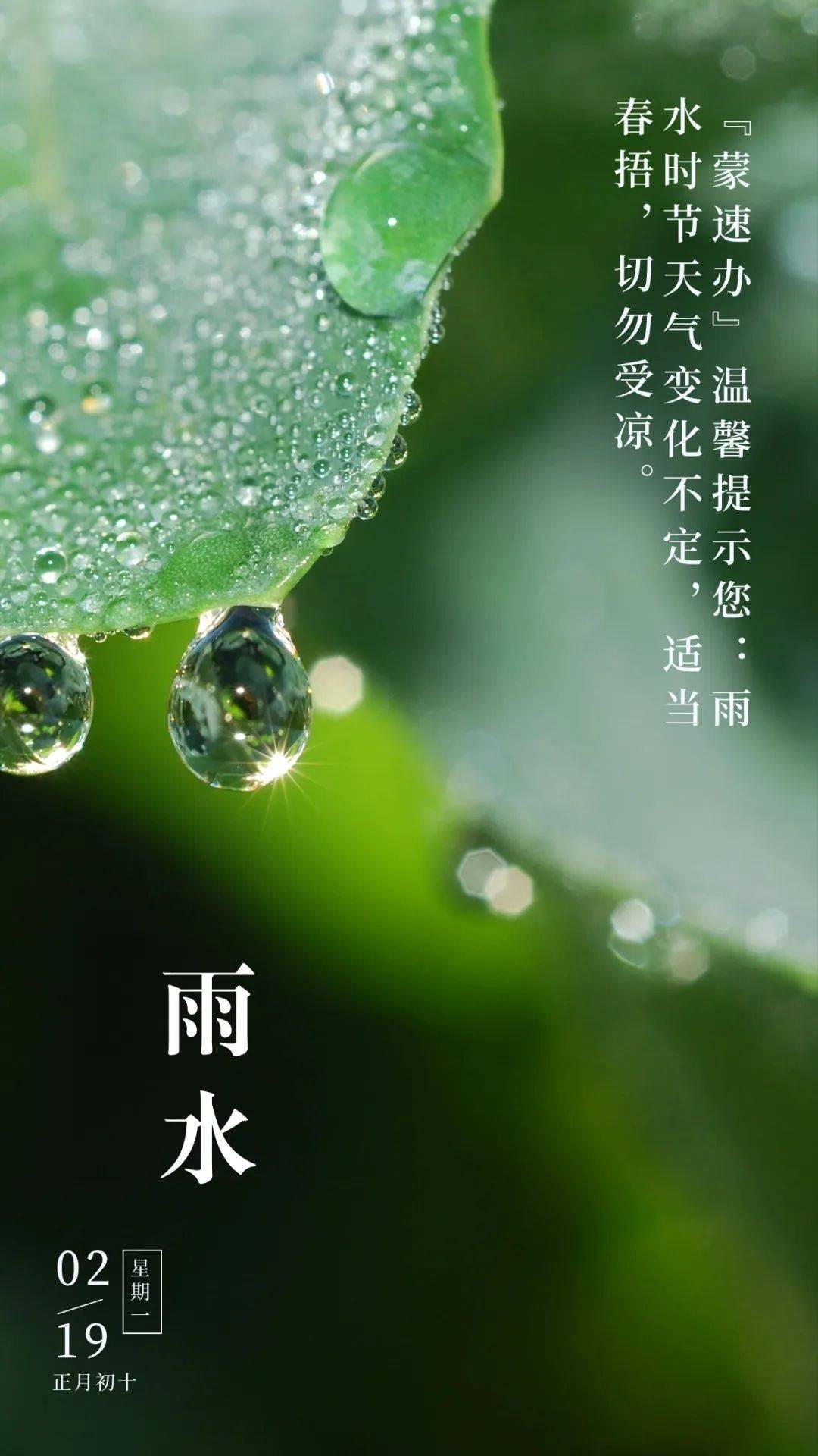 蒙速办节气小百科 今日雨水