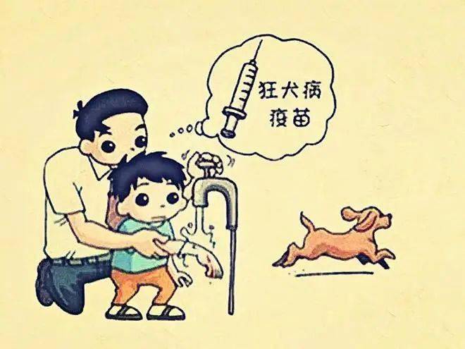 狂犬病之不得不说的那些事_疫苗_伤口_动物
