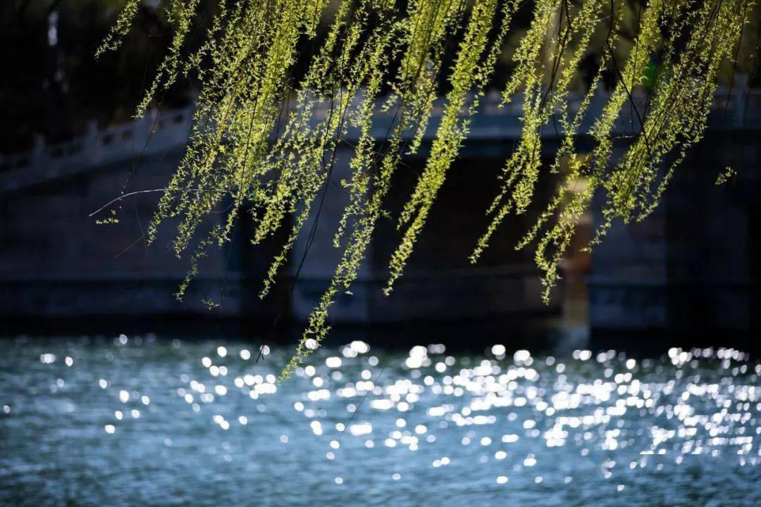 今日雨水:好雨知时节,当春乃发生_春雨_鸿雁_和风细雨