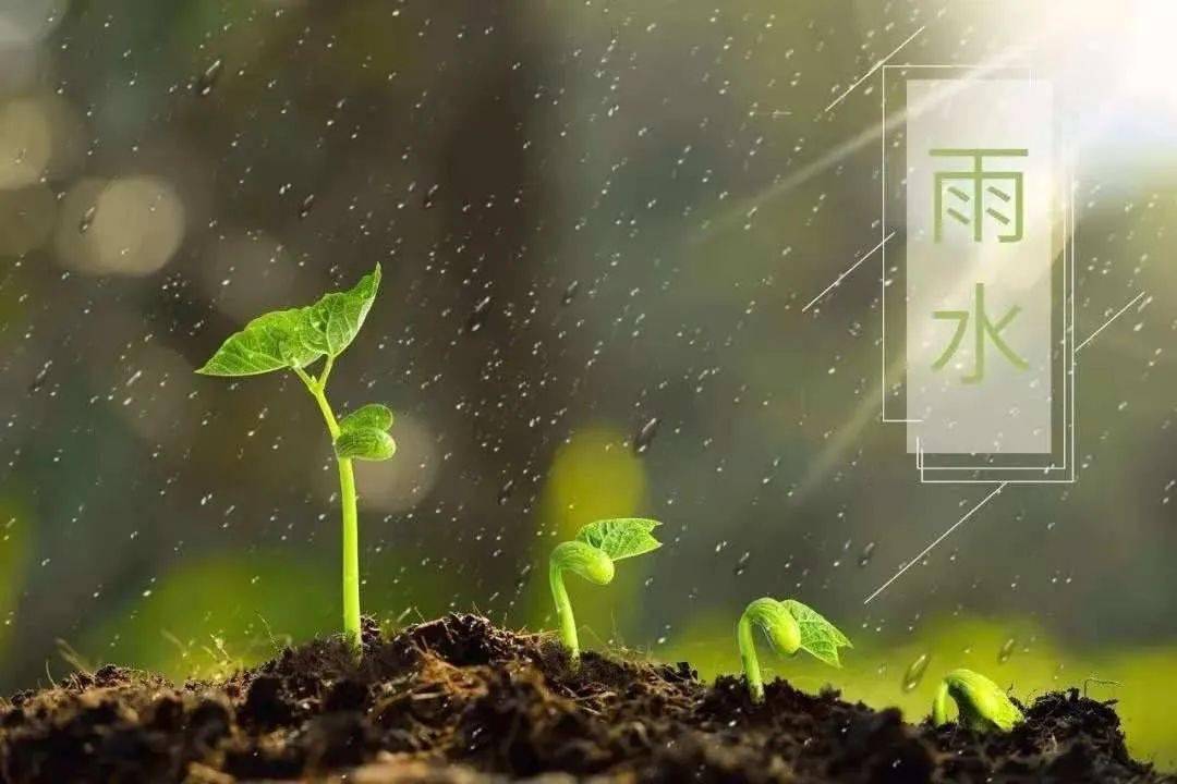 雨水|好雨知时节,当春乃发生_运动_节气_天气