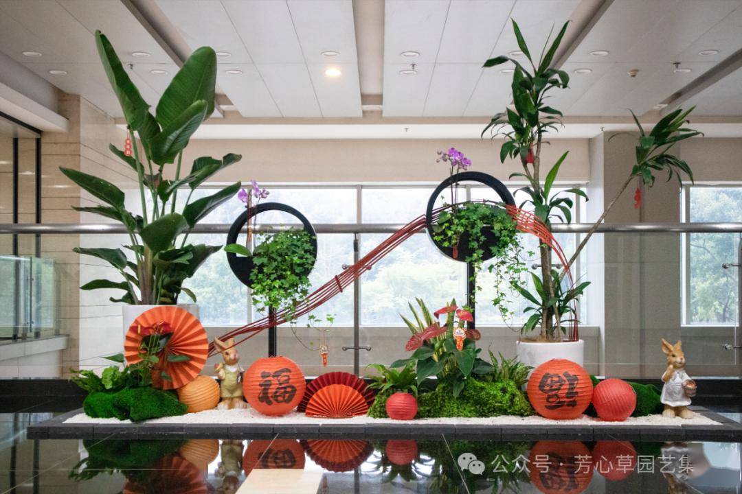 办公室,商业空间,新年装饰绿植租赁现场案例回顾
