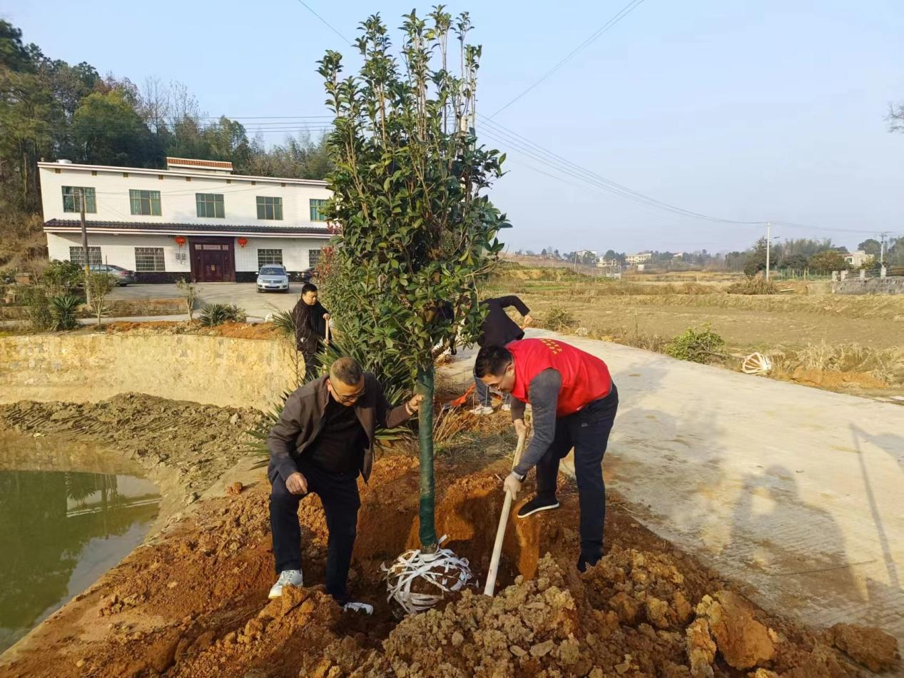 湖南双峰:植树造林添新绿助推乡村振兴