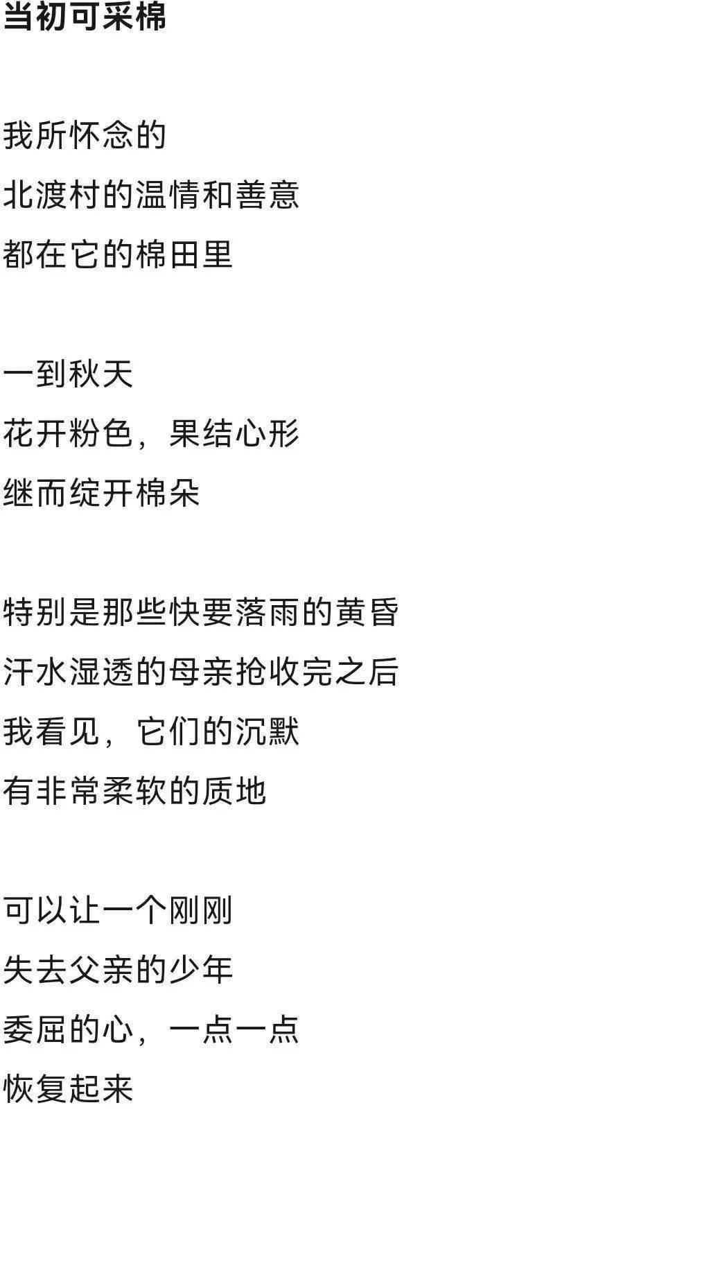 当初可采棉 ‖《诗》_苏末_黎子_耿爽