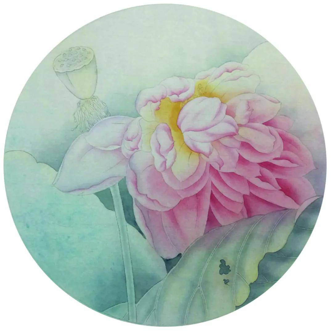 工笔教学【学画工笔荷花扇面】_荷叶_花瓣_步骤