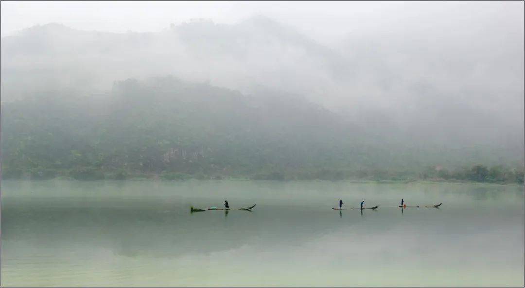 春回"雁"归,泼墨浩"荡"丨探寻南雁荡山水墨韵_活动_cm_焦墨淡