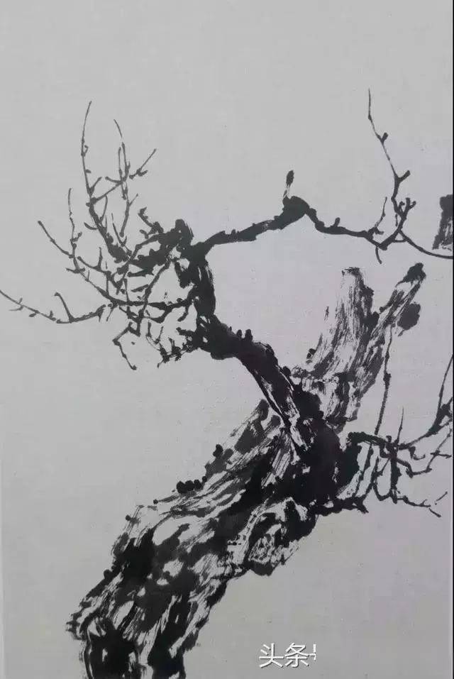 徐湛教你用五步画喜鹊,收藏备用_步骤_朱磦_笔调